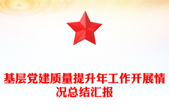 基层党建质量提升年工作开展情况总结汇报