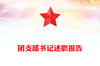 团支部书记述职报告