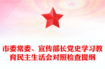 市委常委、宣传部长党史学习教育民主生活会对照检查提纲
