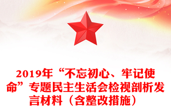 2019年“不忘初心、牢记使命”专题民主生活会检视剖析发言材料（含整改措施）