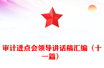 审计进点会领导讲话稿汇编（十一篇）