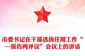 干部选拔任用工作报告