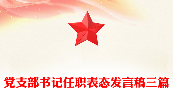党支部书记任职表态发言稿三篇