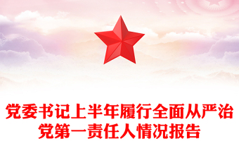 党委书记上半年履行全面从严治党第一责任人情况报告