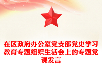 在区政府办公室党支部党史学习教育专题组织生活会上的专题党课发言