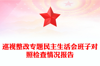 巡视整改专题民主生活会班子对照检查情况报告