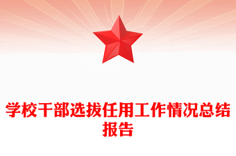 学校干部选拔任用工作情况总结报告