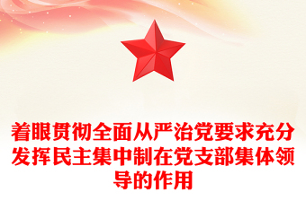 着眼贯彻全面从严治党要求充分发挥民主集中制在党支部集体领导的作用