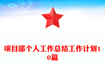 项目部个人工作总结工作计划10篇