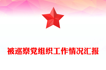 被巡察党组织工作情况汇报