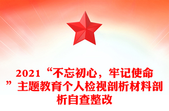 2021“不忘初心，牢记使命”主题教育个人检视剖析材料剖析自查整改