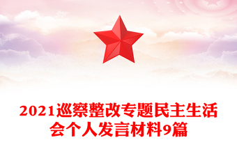 2021巡察整改专题民主生活会个人发言材料9篇