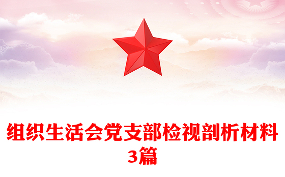 组织生活会党支部检视剖析材料3篇
