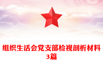 组织生活会党支部检视剖析材料3篇