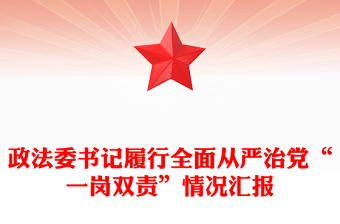 政法委书记履行全面从严治党“一岗双责”情况汇报