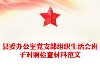 县委办公室党支部组织生活会班子对照检查材料范文