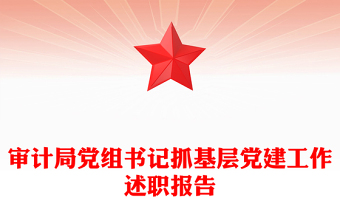 审计局党组书记抓基层党建工作述职报告