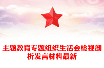主题教育专题组织生活会检视剖析发言材料最新