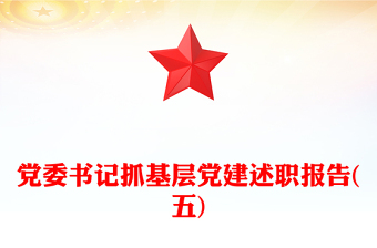 党委书记抓基层党建述职报告(五)