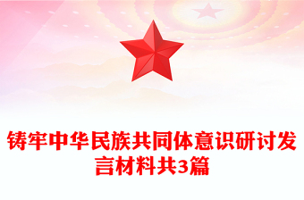 铸牢中华民族共同体意识研讨发言材料共3篇