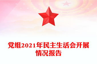 党组2021年民主生活会开展情况报告
