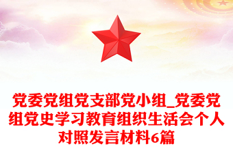 党委党组党支部党小组_党委党组党史学习教育组织生活会个人对照发言材料6篇