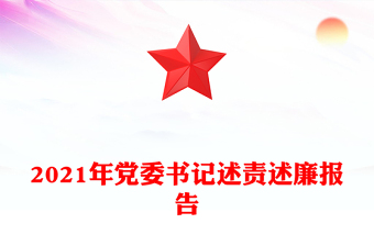 2021年党委书记述责述廉报告