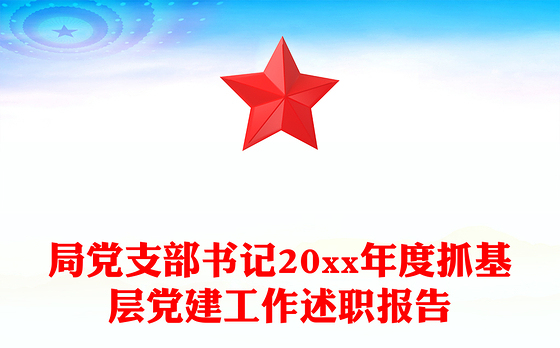 局党支部书记20xx年度抓基层党建工作述职报告