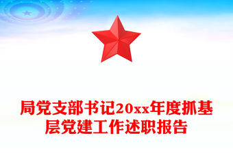 局党支部书记20xx年度抓基层党建工作述职报告