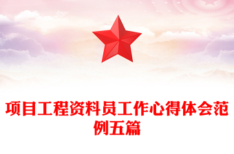 项目工程资料员工作心得体会范例五篇