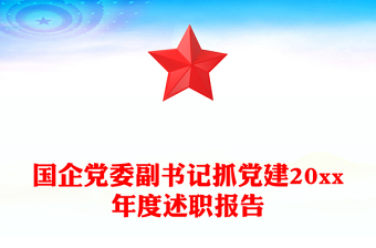 国企党委副书记抓党建20xx年度述职报告