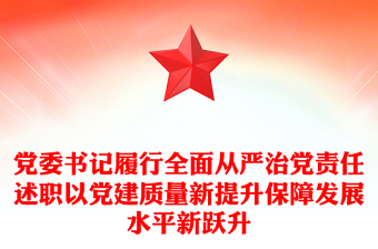 党委书记履行全面从严治党责任述职以党建质量新提升保障发展水平新跃升
