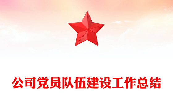 公司党员队伍建设工作总结