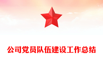 公司党员队伍建设工作总结