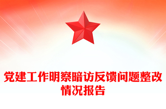 党建工作明察暗访反馈问题整改情况报告