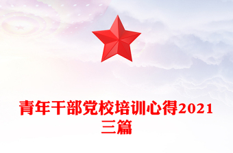 青年干部党校培训心得2021三篇