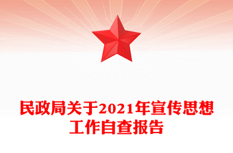 民政局关于2021年宣传思想工作自查报告