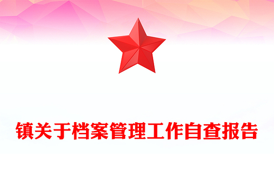 镇关于档案管理工作自查报告