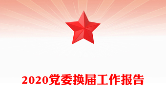 2020党委换届工作报告