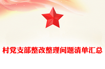 村党支部整改整理问题清单汇总