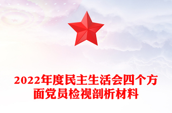 2022年度民主生活会四个方面党员检视剖析材料