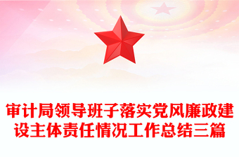 审计局领导班子落实党风廉政建设主体责任情况工作总结三篇