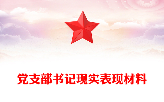 党支部书记现实表现材料