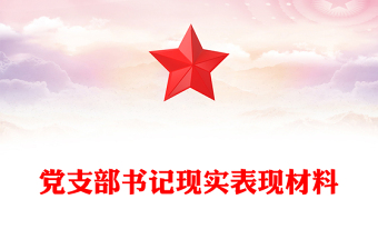 党支部书记现实表现材料
