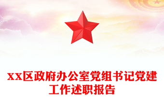 XX区政府办公室党组书记党建工作述职报告