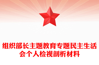 组织部长主题教育专题民主生活会个人检视剖析材料