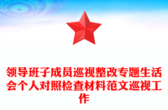 领导班子成员巡视整改专题生活会个人对照检查材料范文巡视工作