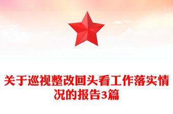关于巡视整改回头看工作落实情况的报告3篇