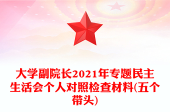 大学副院长2021年专题民主生活会个人对照检查材料(五个带头)