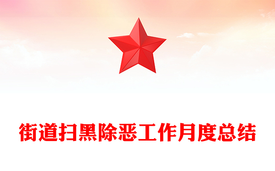 2023党建活动扫黑除恶总结